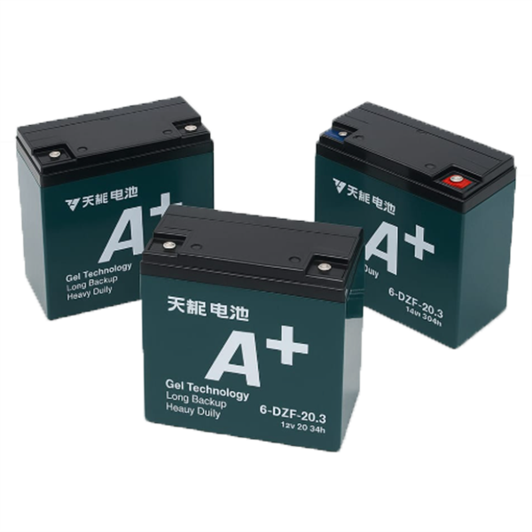 A+ Plus 6-DZF-20AH Ups Battery