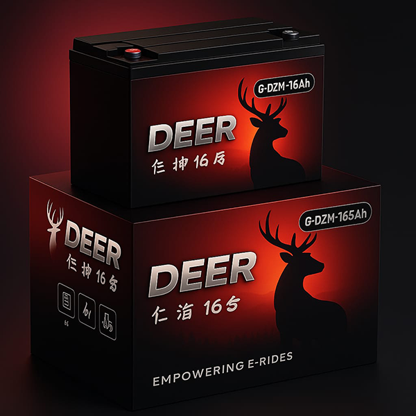 DEER 6-DZM-165Ah 12V 165AH Dry Battery for E-Rickshaws & Mid-Size Autos