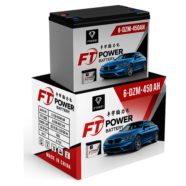 FIONEI 6-DZM-450AH 12V 450AH Power Battery for Auto Rickshaw