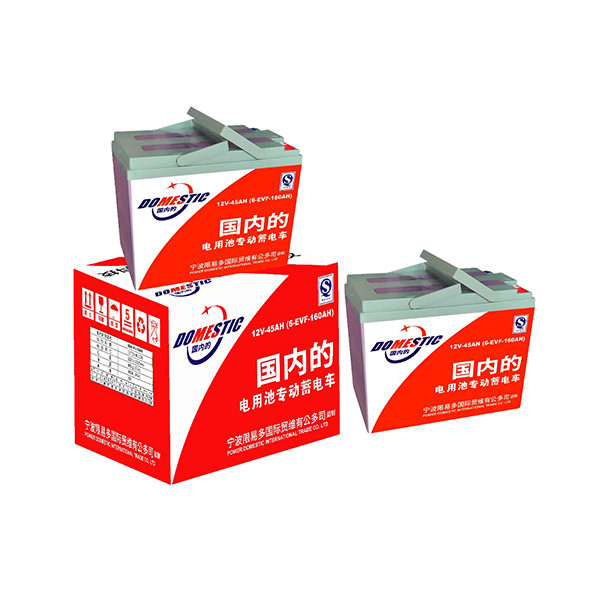 DOMESTIC 12V-45AH (6-EVF-160AH) Deep Cycle EV Battery